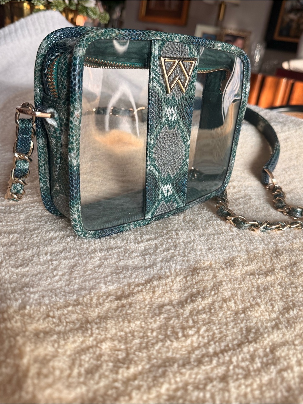 Kelly Wynne Mingle Clear Crossbody Bag with Chain Strap